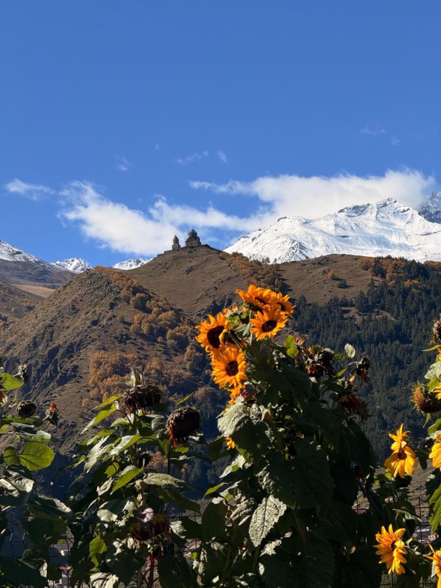 Cottages Dila Kazbegi Exterior foto