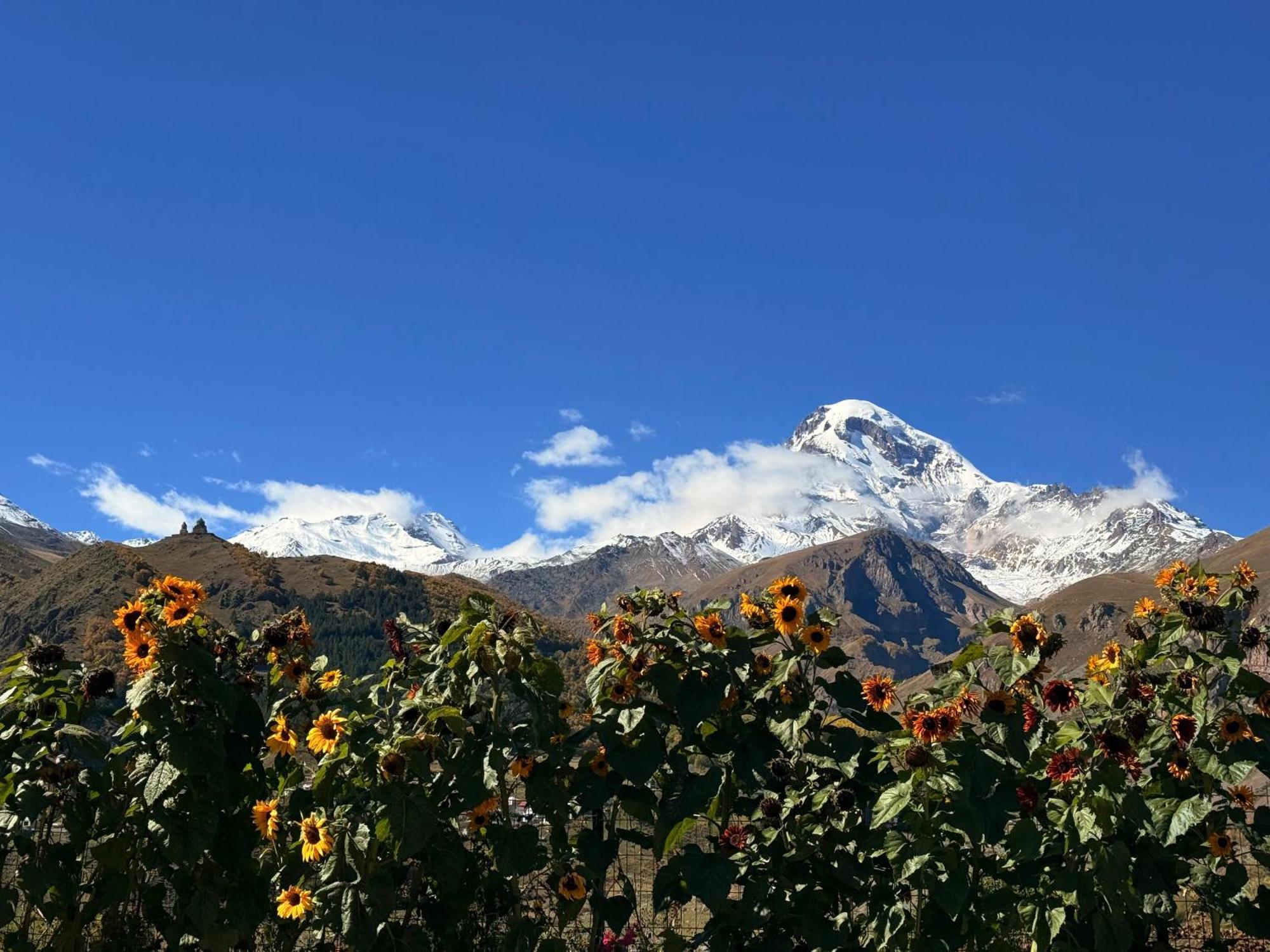Cottages Dila Kazbegi Exterior foto